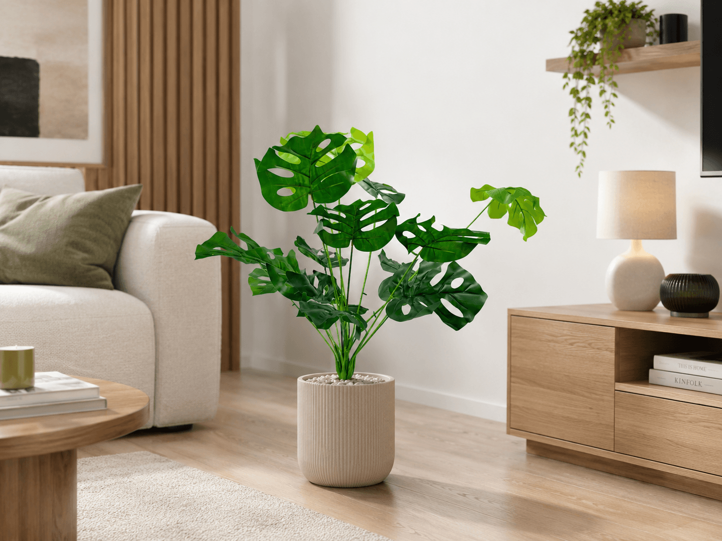 Monstera Deliziosa
