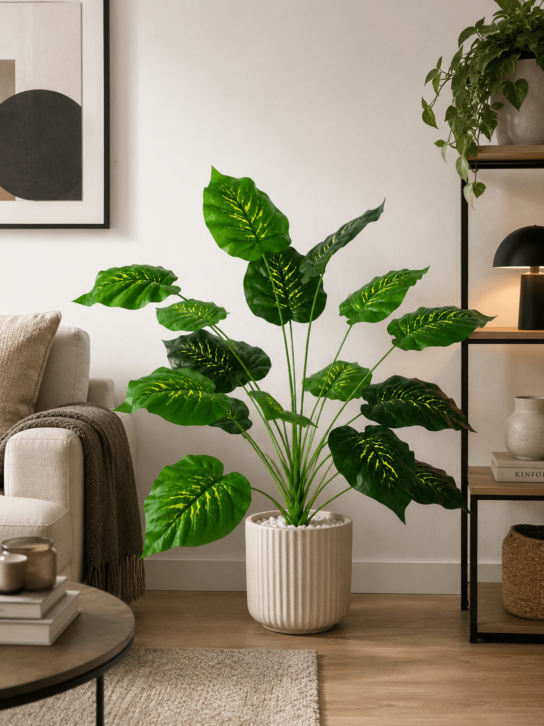 Pothos Variegato